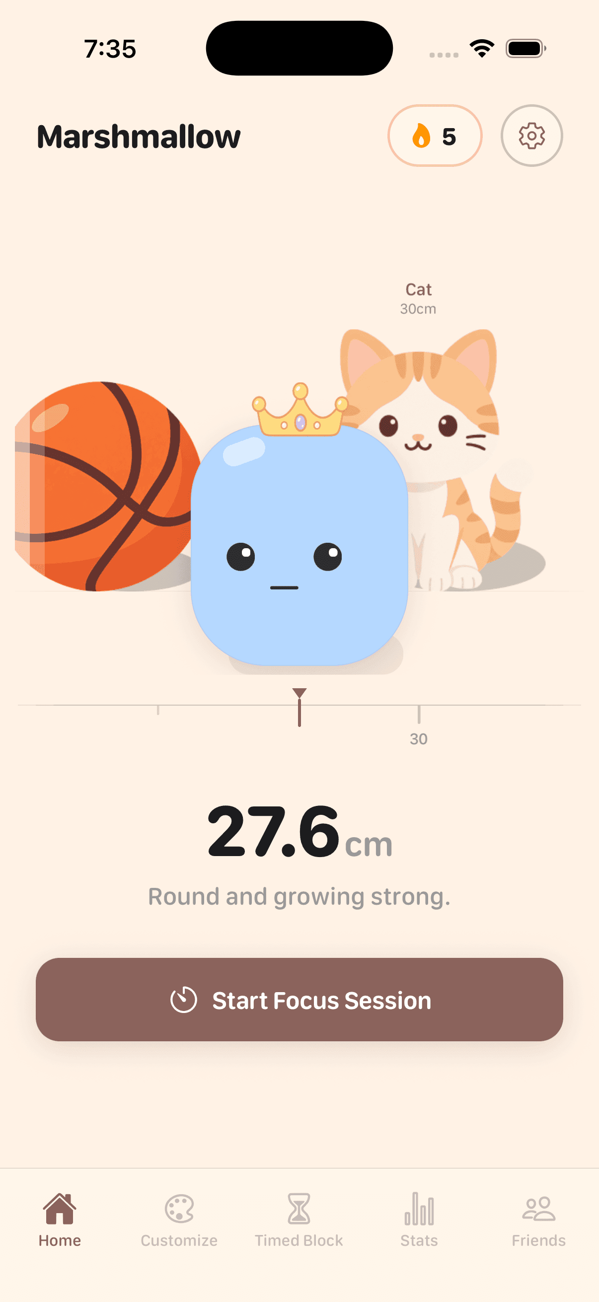 The Marshmallow app home screen: a blue marshmallow wearing a crown, grown to 27.6cm and sized up against a basketball and a cat, with a five-day streak badge and a Start Focus Session button.